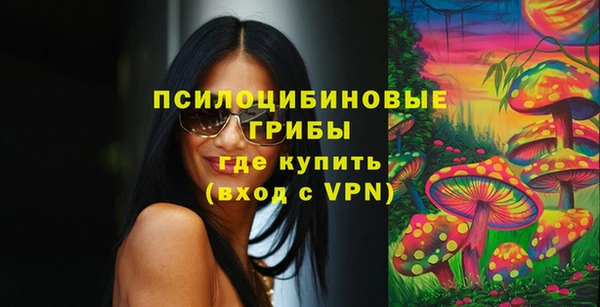 стафф Струнино