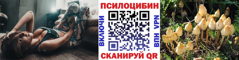 Купить  Чёрмоз  Галлюциногенные грибы Magic Shrooms 